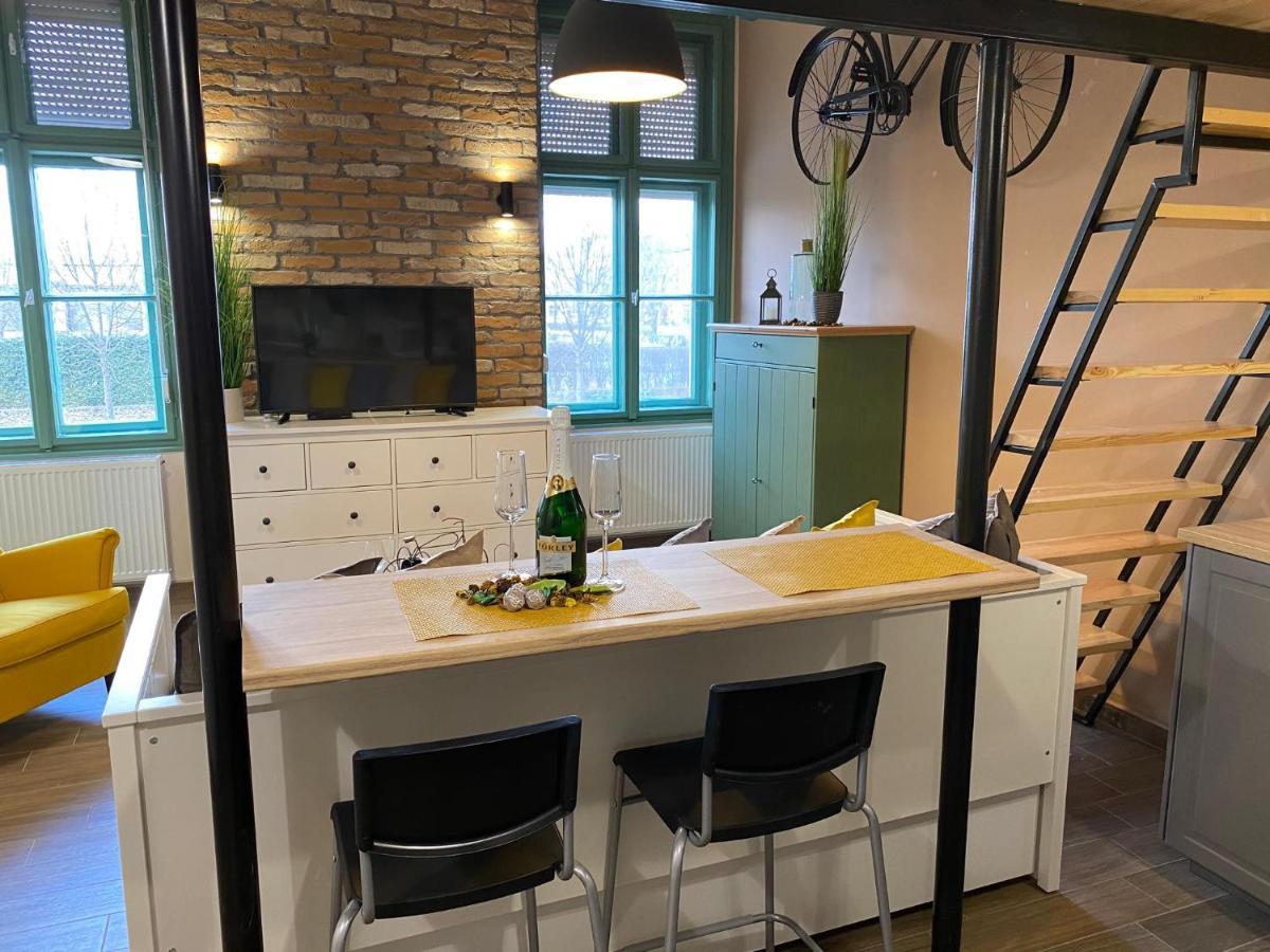 Pedal Apartman Szeged City Extérieur photo
